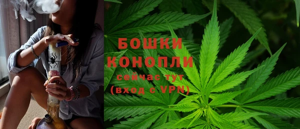 spice Верхний Тагил