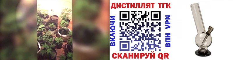 Дистиллят ТГК Wax  Невель 