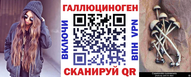omg зеркало купить Невель Псилоцибиновые грибы Cubensis