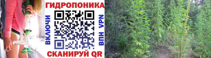 mega ТОР  Невель  Бошки Шишки Bruce Banner 